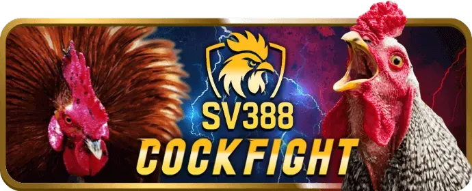 Macao99 - Hướng dẫn chiến lược chơi game